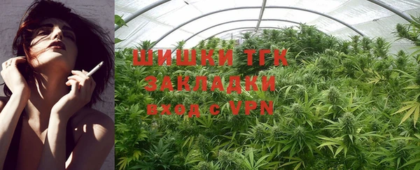 гидропоника Гусиноозёрск