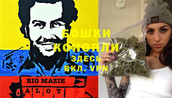 винт Болохово