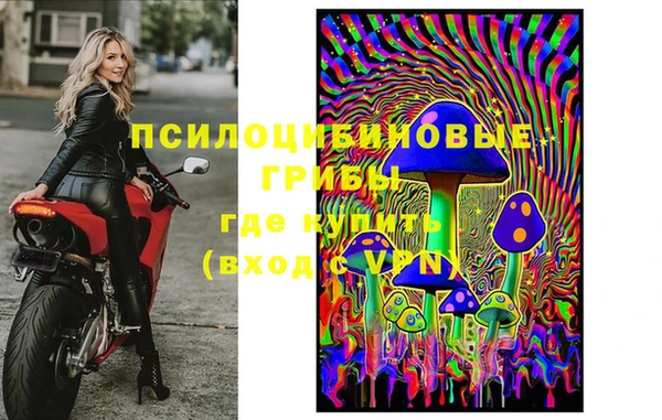 прущая мука Гусь-Хрустальный